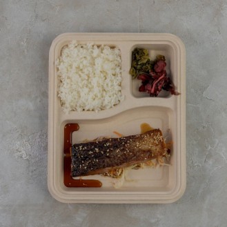 Teriyaki Salmon with Japanese Rice